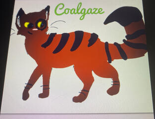 Coalgaze by Young!Froya